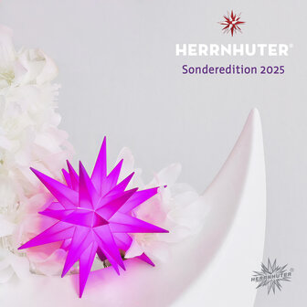 8 cm ster - SPECIALE UITGAVE 2025/2026