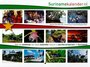 Surinamekalender 2024_