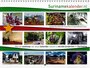 Surinamekalender 2027_